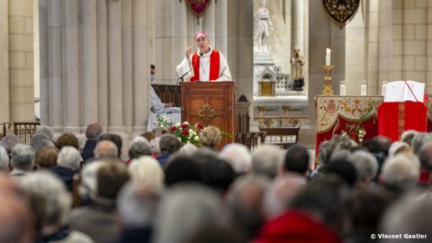 Contribution diocésaine au Synode 2021 – 2023